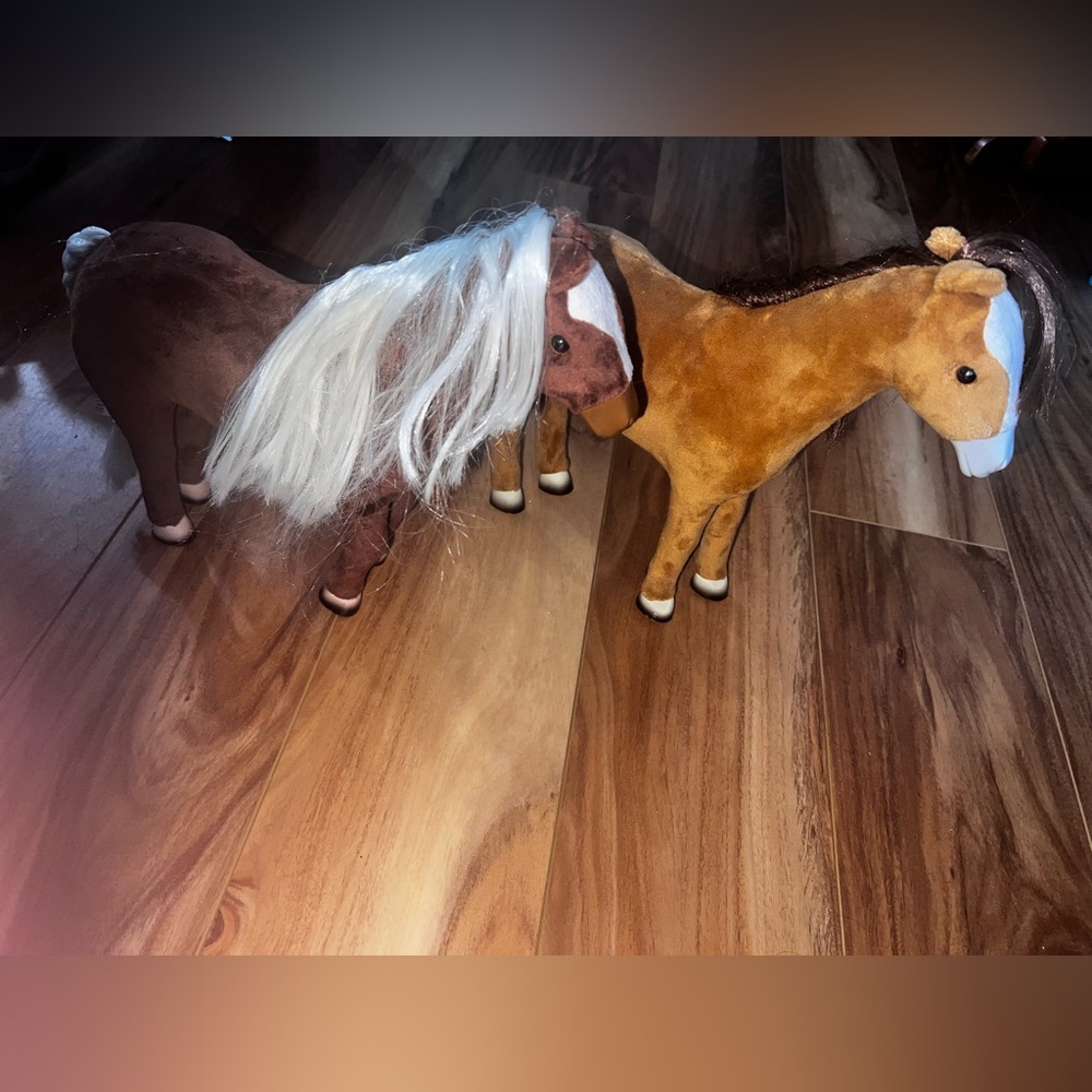 Paradise kids horses